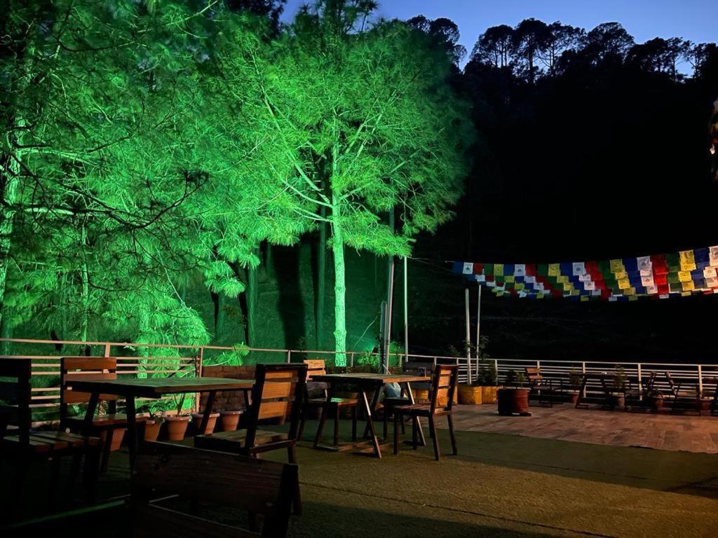 Hillcrest Heights Bed & Breakfast Kasauli Eksteriør bilde